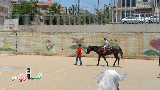 كفرقاسم - فيديو  : تعليم هواية ركوب الخيل في مدرسة جنة ابن رشد في اليوم الرابع لصيف الصادقة 